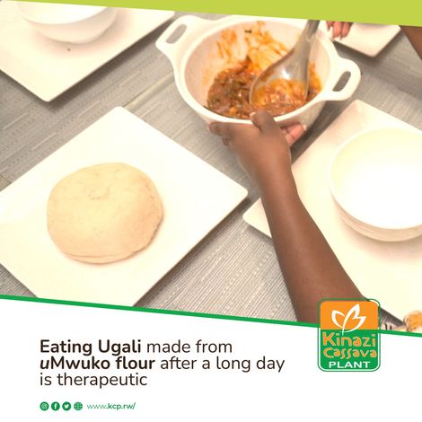 Kinazi Cassava Plant