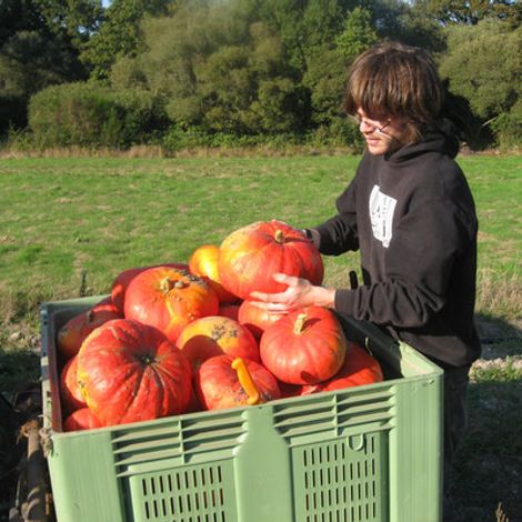 LA FERME DU PIN
