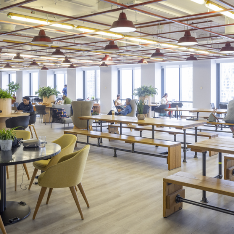Neshes Global HQ