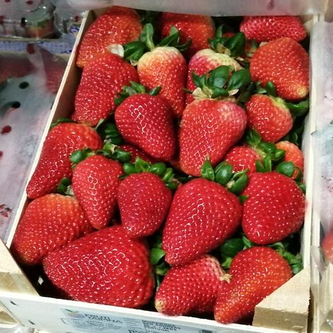 Fruti-Taipina_Strawberries_wood box