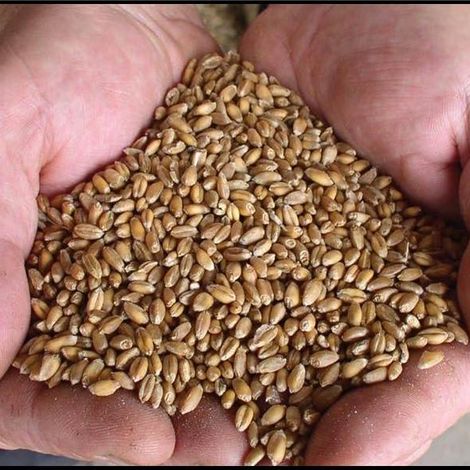 commodity.jpg