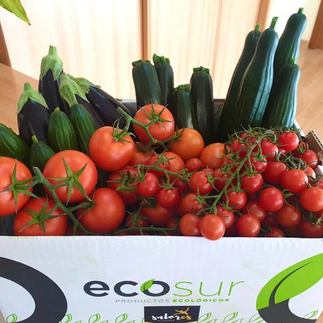 ECOSUR