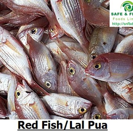 SAFE & FRESH FOODS LIMITED.