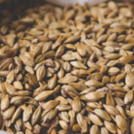 Boortmalt