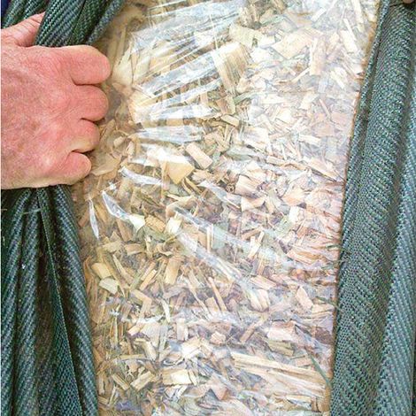 Nutritech International Ltd