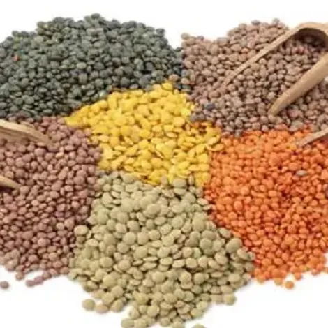 Reflex Exporter Pty Ltd - Food Ingredients