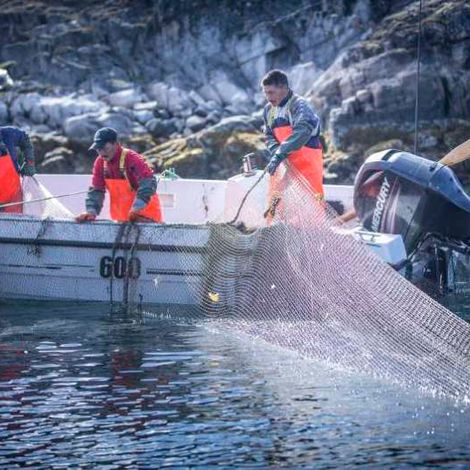 Royal Greenland UK- Catching Fish