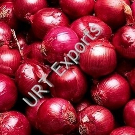 URT Exports - Onion