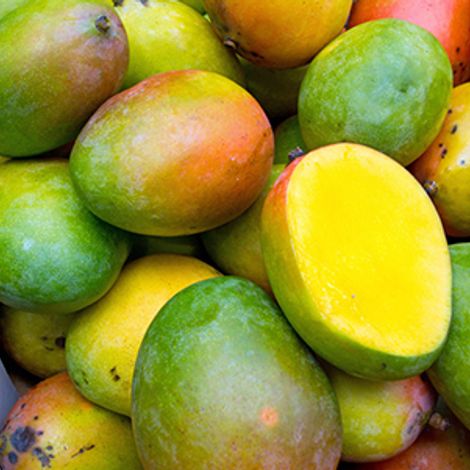 FRUIT SERVICE Fruchthandels- und Transport GmbH