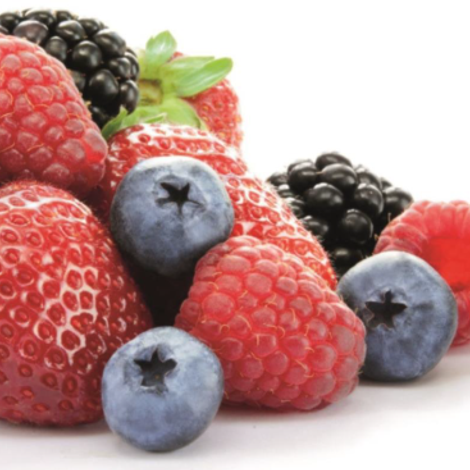 fruits-pricipal2.png