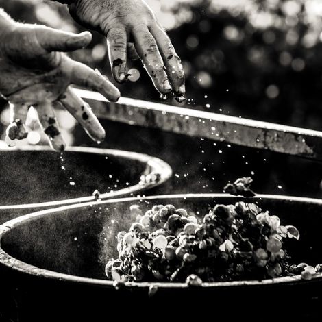 Château d'Arche - Product