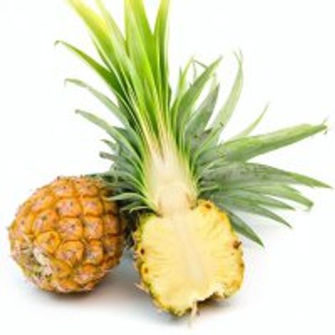 Special Fruit Producciones SL