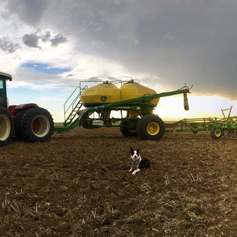 Golden Prairie Inc.