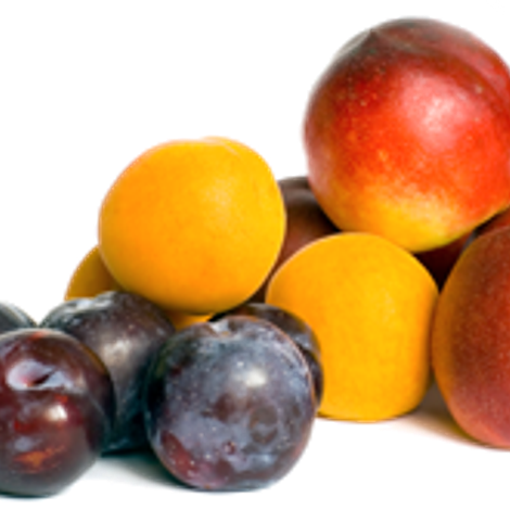 stone-fruit.png