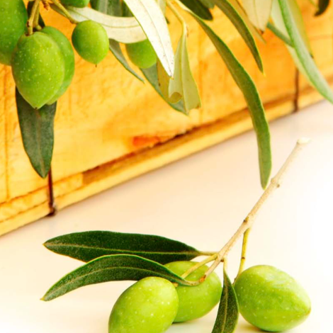 Oro Bailen Reserva Familiar - Olives