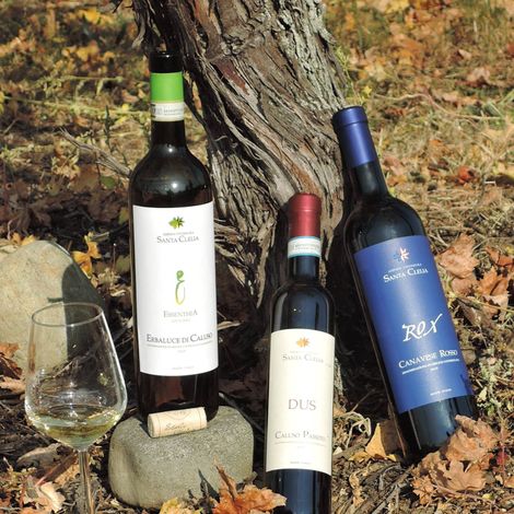 AZIENDA AGRICOLA SANTA CLELIA - Products