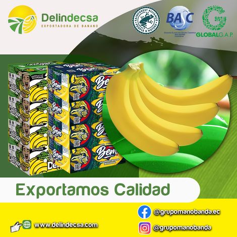 DELINDECSA