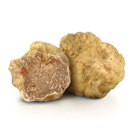 WHITE TRUFFLE (Tuber Magnatum Pico)