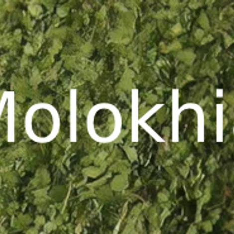 Melokhia