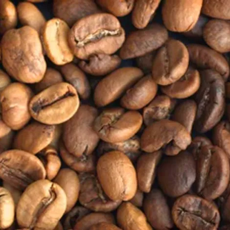Earth Roastery
