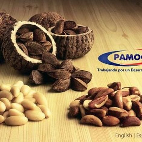 PAMOC