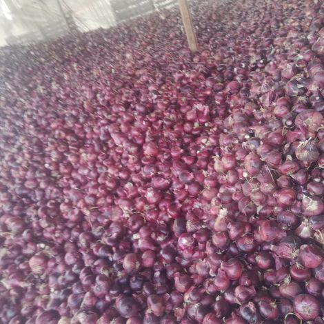 Red onions