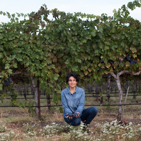 Coquerel Wines_Wines_Grapes