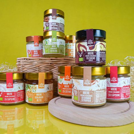 Mihoci Constantin PFA