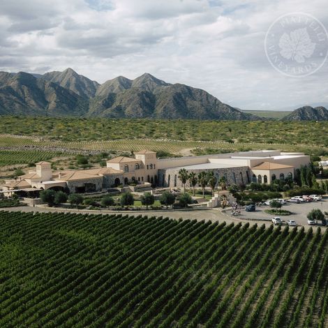 Winery and vineyards