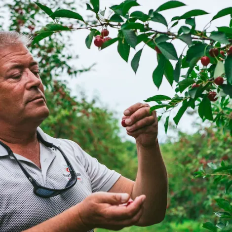 Cherry Central Cooperative, Inc.