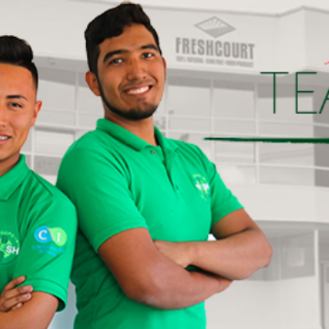 Our Team