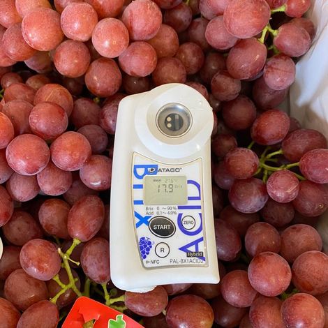 Fruit Master_Table Grape_Ralli