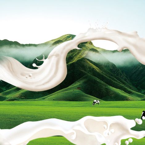 CASTLE DAIRY® S.A.