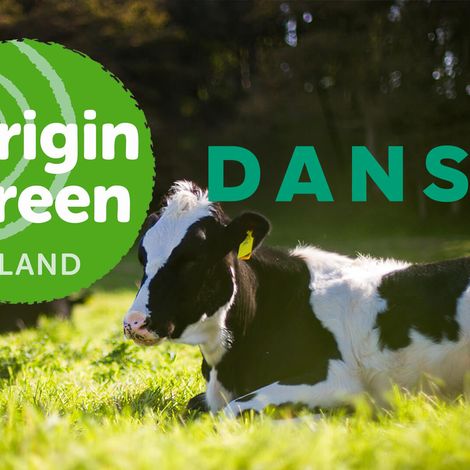 Dansko Foods Ltd. - Cows