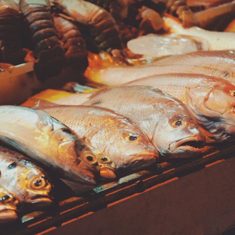 www.hullfishcompany.co.jpg