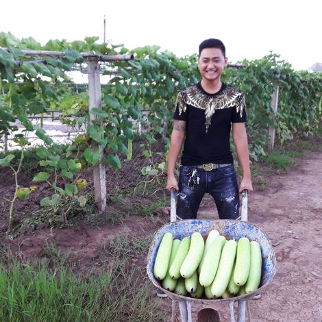 Vietnam Agricultural Product, Food Import Export Joint Stock Company (VAF)