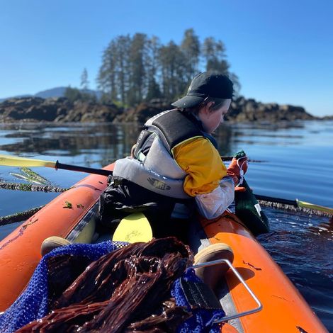 Alaska Coastal Seaweed