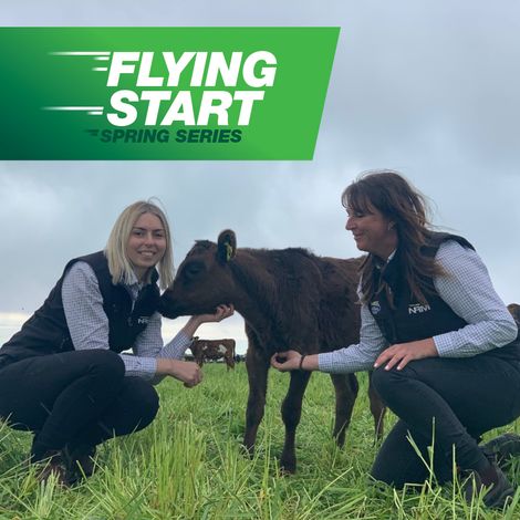 Farmlands Co-operative Society Limited