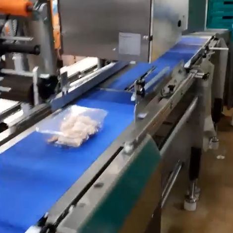 Avipronto - Produtos Alimentares, S.A - Processing Facility