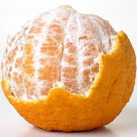 Frutas J. A. Mourinho, Lda