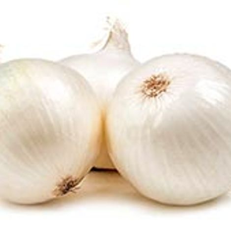 white-Onion.jpg