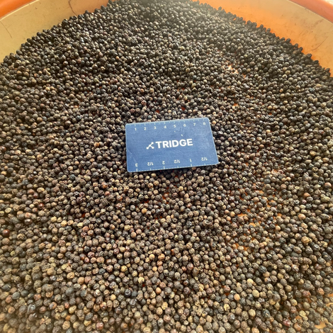 Tridge_VN_Black Pepper