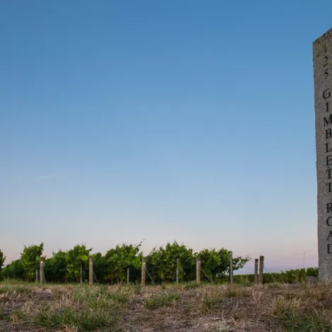 Trinity Hill