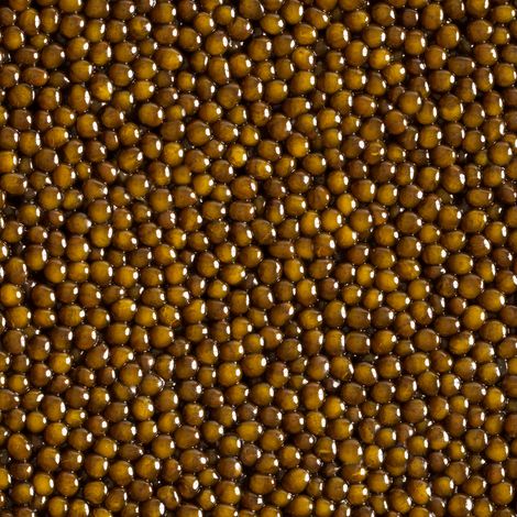 344750676_784799146219253_4778008142235339084_n.jpg