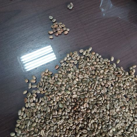 MustmerCoffeeExporter_RawCommonCoffeeBeanEthiopia_LekemptiG4&G5