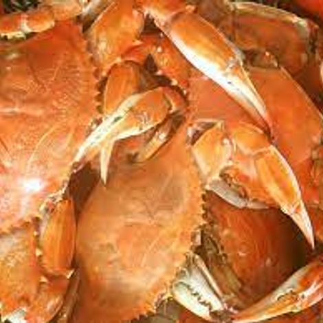 Russell Hall Seafood, Inc.