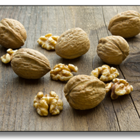 walnuts-002.png