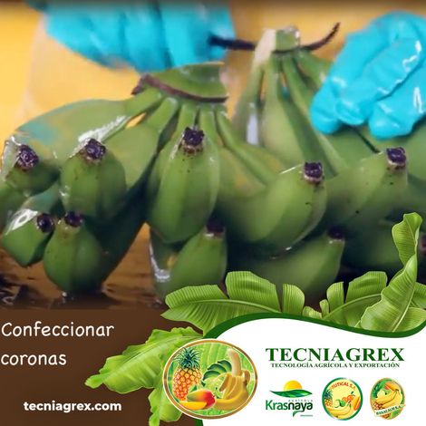 TECNIAGREX S.A.