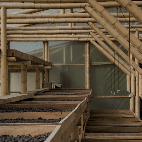 FLOR A FRUTO SAS - Facility