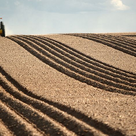 LLC FORNAX AGRO UKRAINE